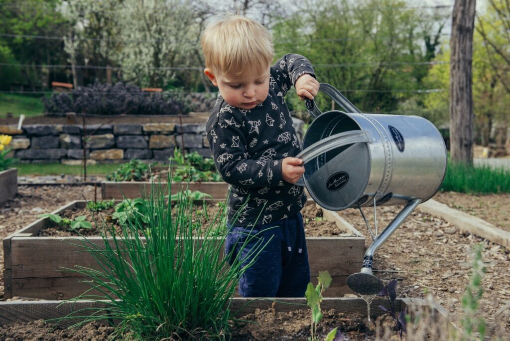 Raised garden beds