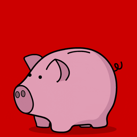 piggy bank save