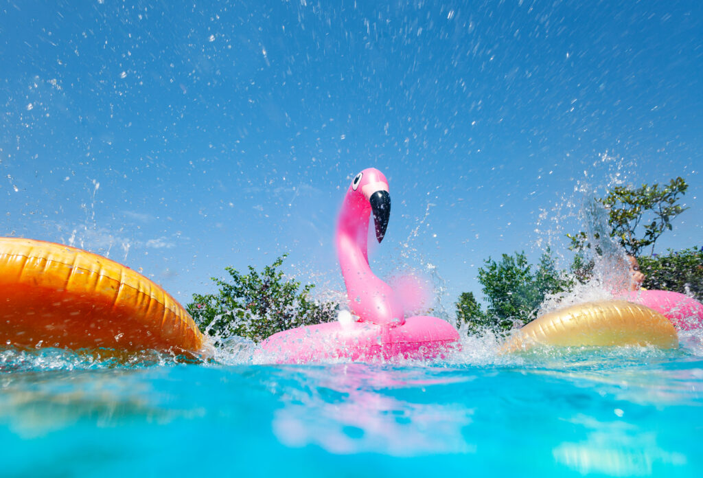 flamingo float fun